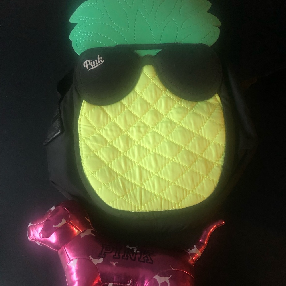 Pink pineapple lunchbox/Pink Dog